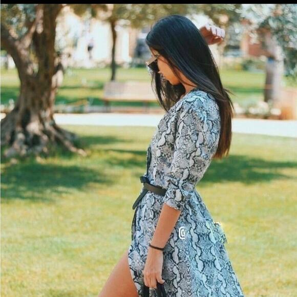 Zara Snakeskin Print Elegant Gray Dress NWT Size Xsmall - Picture 5 of 6